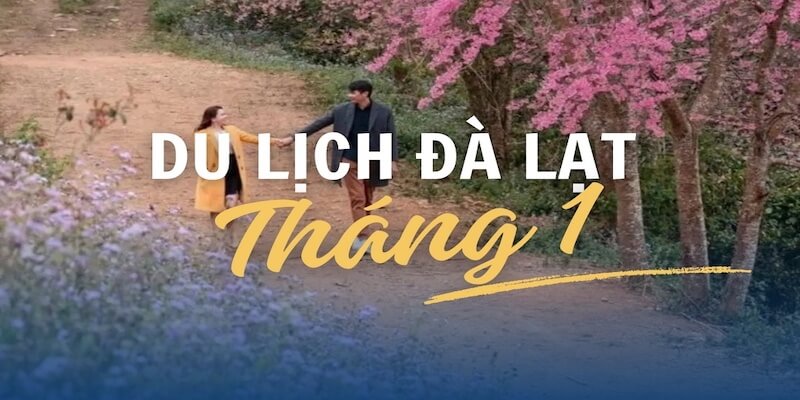 Du Lịch Đà Lạt Tháng 1 Với Những Điều Thú Vị