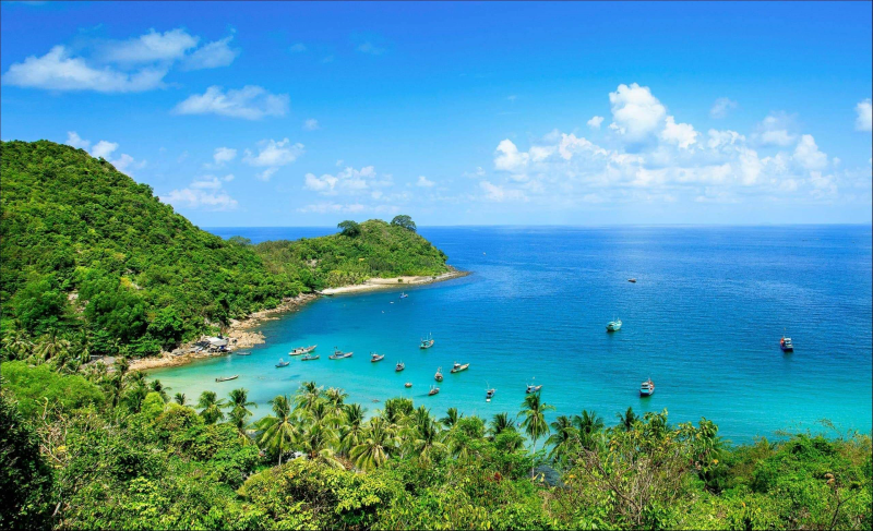 Top 05 Điểm Du Xuân Du Lịch Tết Miền Nam Thú Vị